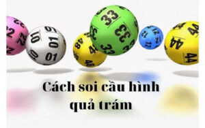 soi cầu quả trám